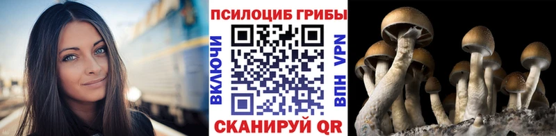 Псилоцибиновые грибы Magic Shrooms  Лебедянь 